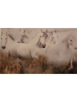 Hoffman Fabrics Panel 37 - Call of the Wild - Horses in the Dawn