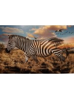 Hoffman Fabrics Panel 29 - Call of the Wild - Zebra
