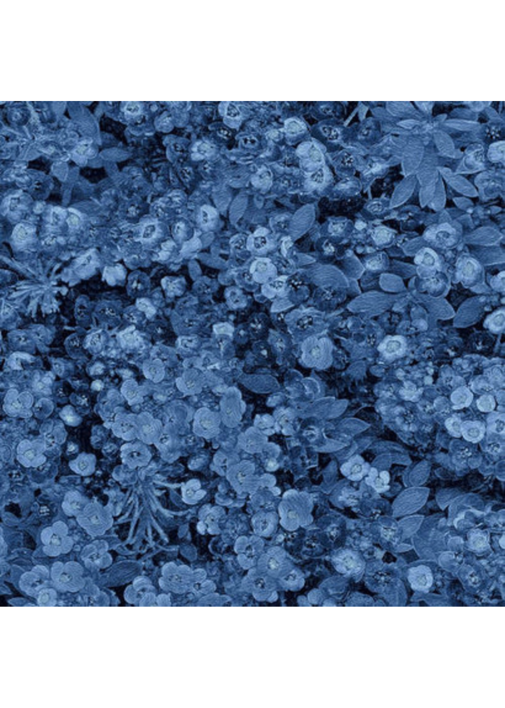 Blank Quilting Once In A Blue Mood - Lacy Floral - Dark Blue