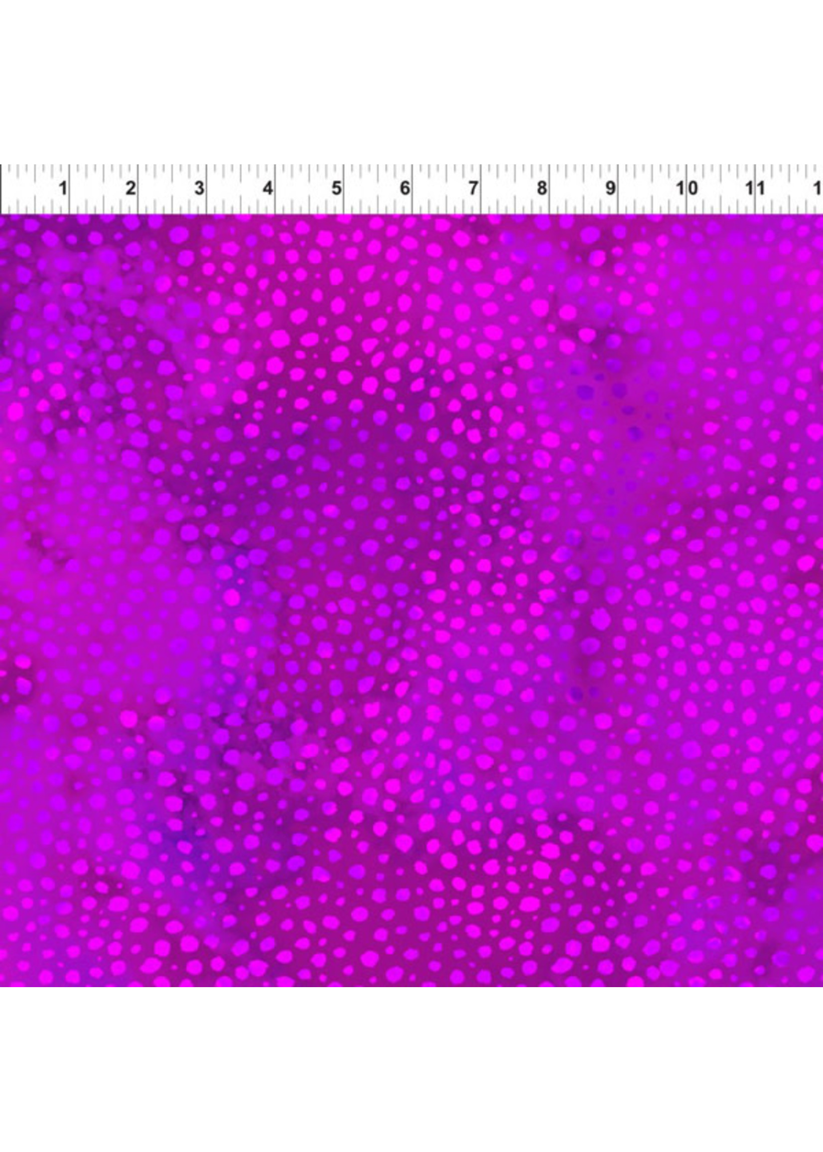 Safari - Spots & Dots - Fuchsia