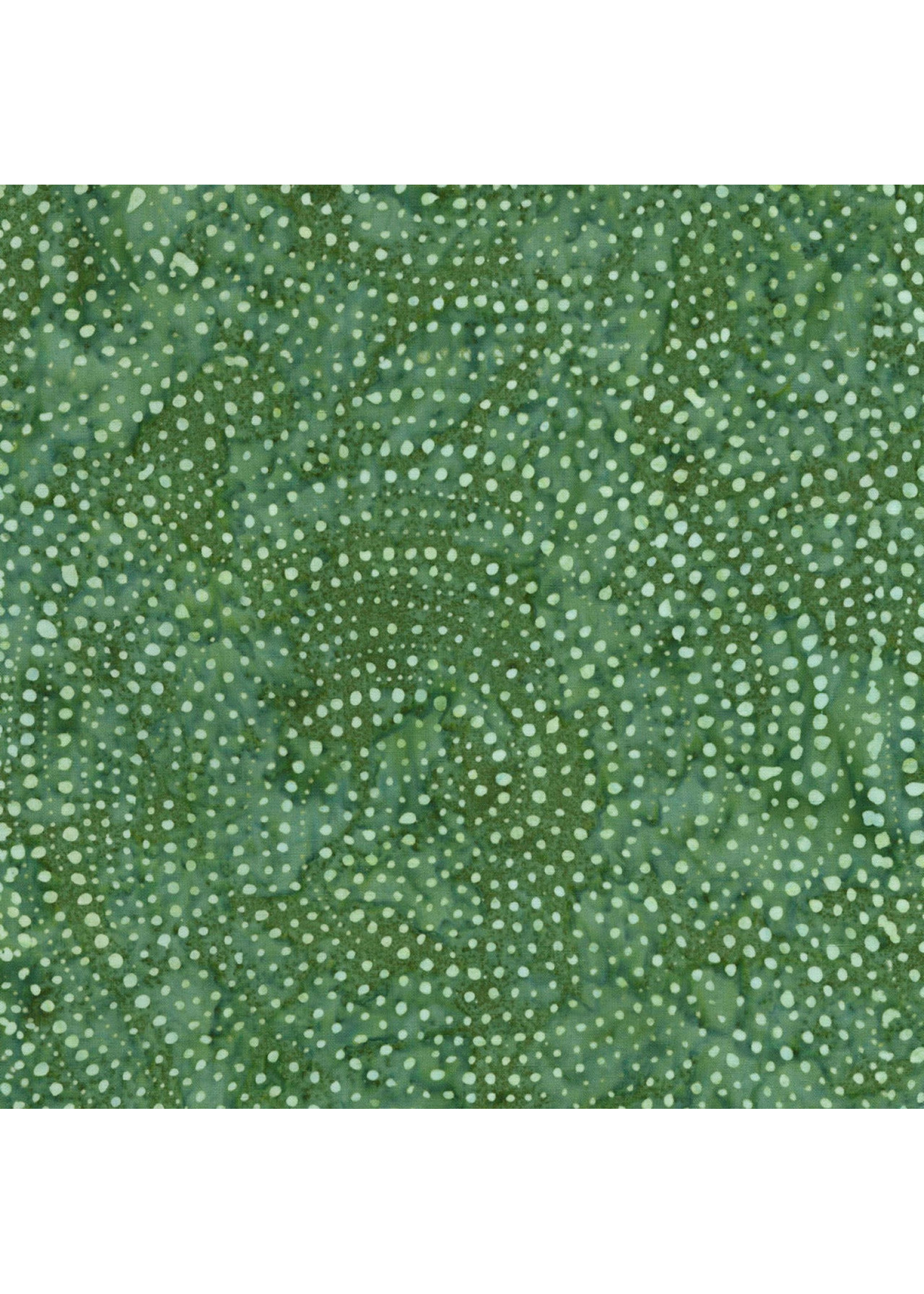 Timeless Treasures Tonga - Dotty Spiral - Fern