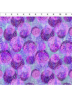 In The Beginning Floragraphix V - Chrysanthemum - Purple