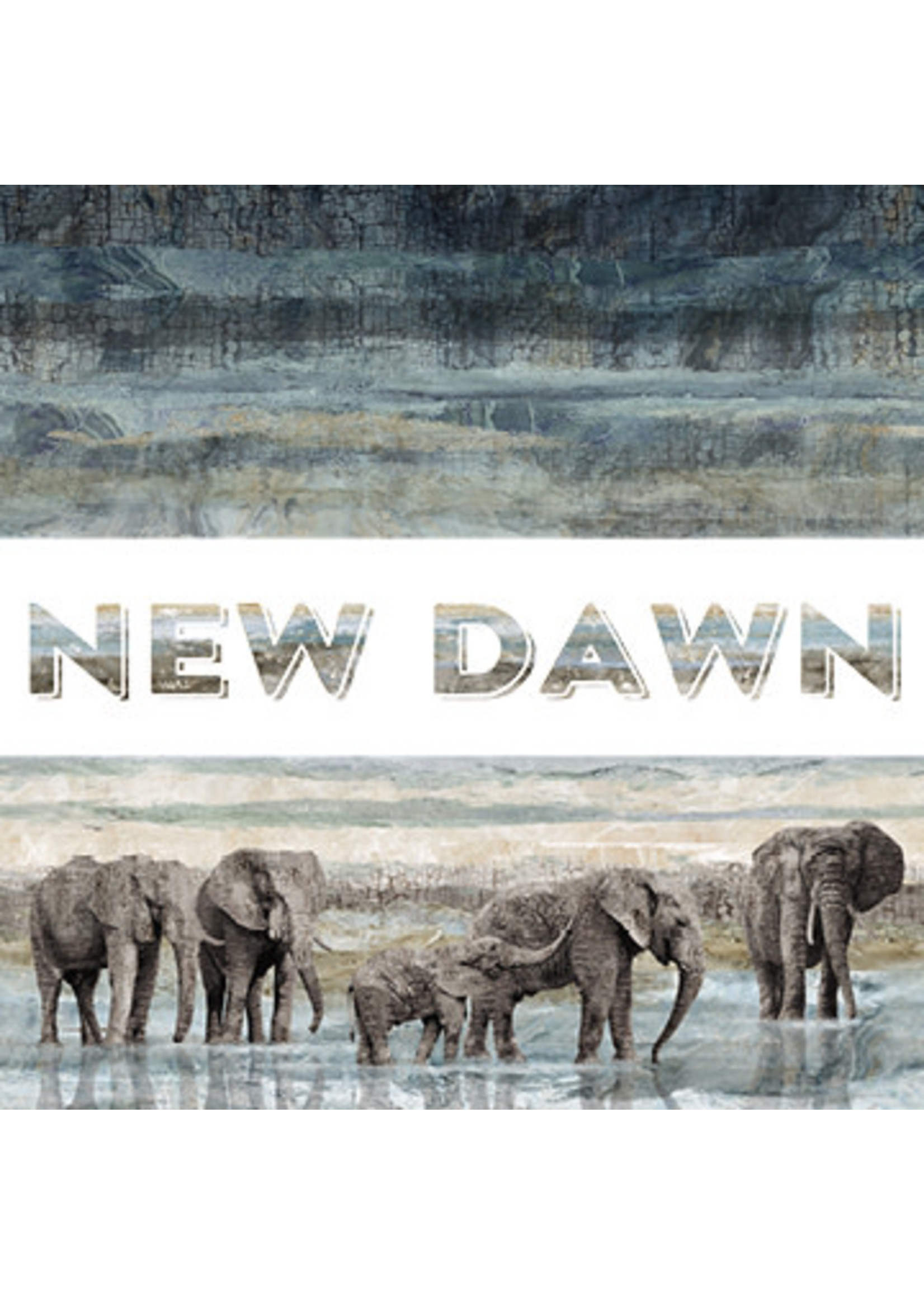 Northcott New Dawn - Elephants - Grey