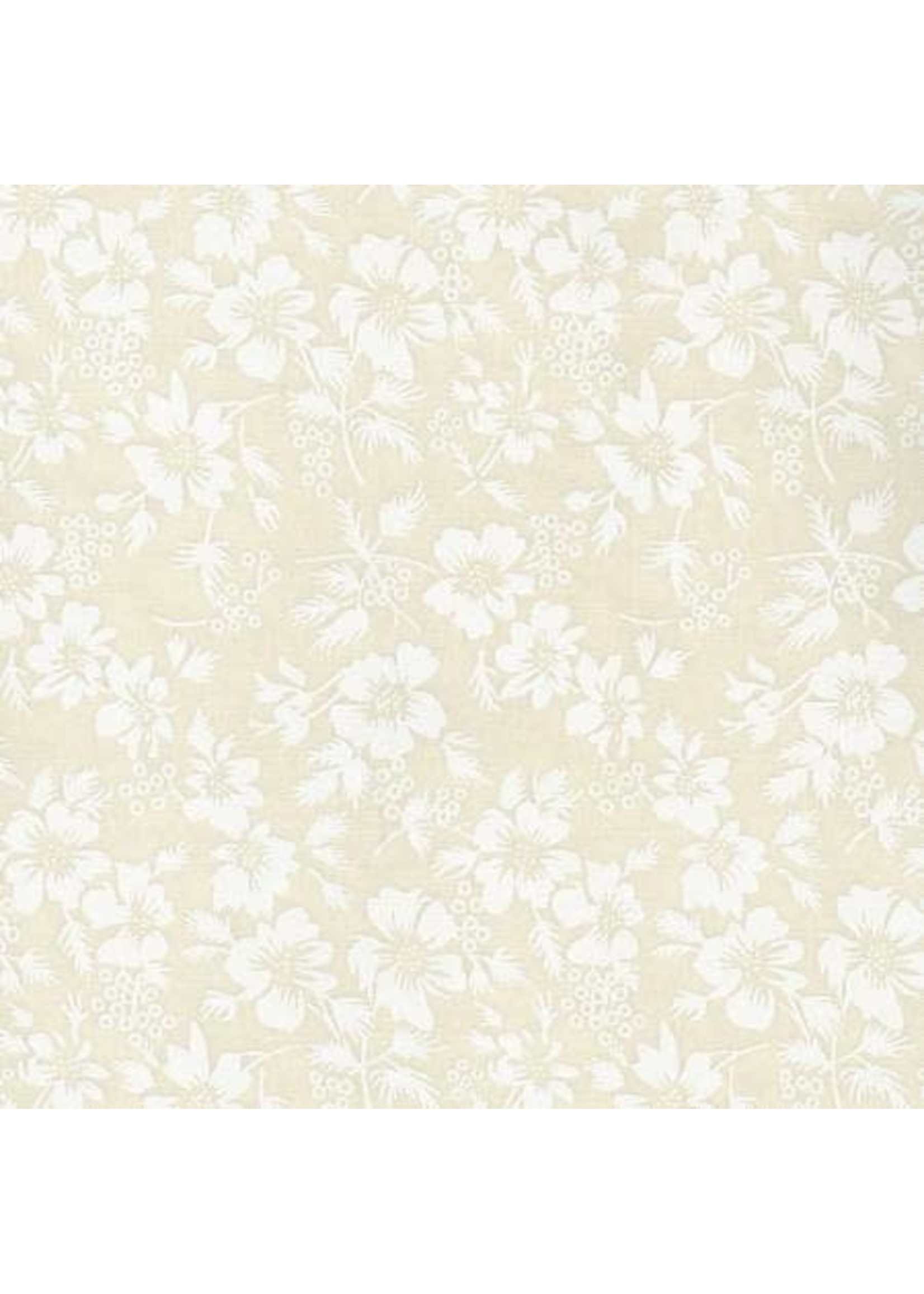 Basic Palette Tone on Tone - 18606TWT - Cream