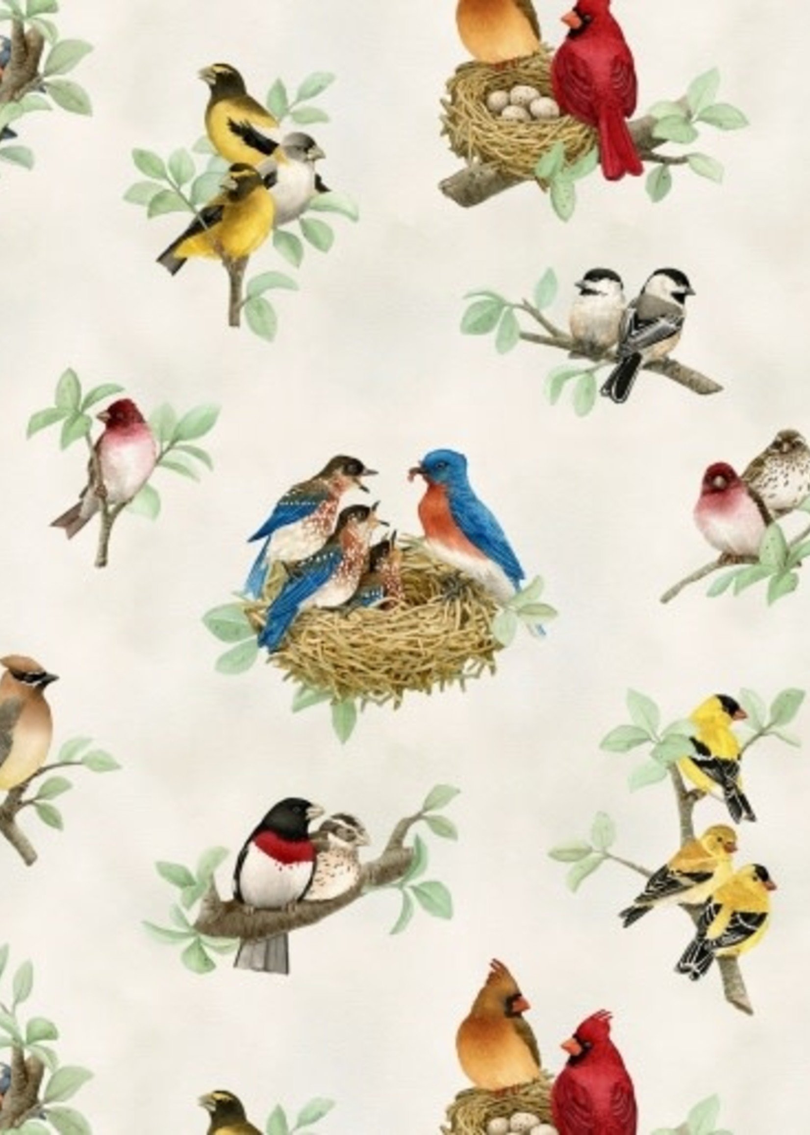 Elizabeth's Studio Beautiful Birds - Cream - 4310