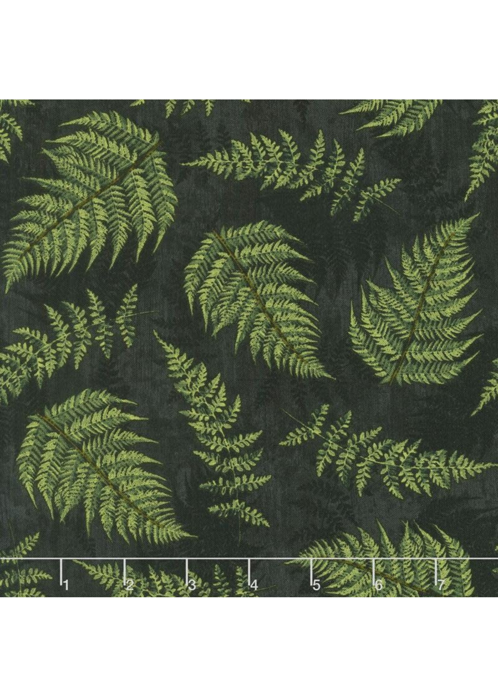 Wilmington Prints Chantrell - Fern Leaves - Black - 68452-997