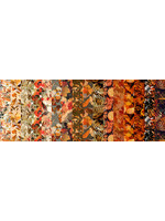 In The Beginning Jelly Roll - Reflections of Autumn - 40 x 2 1/2 inch x 42 inch