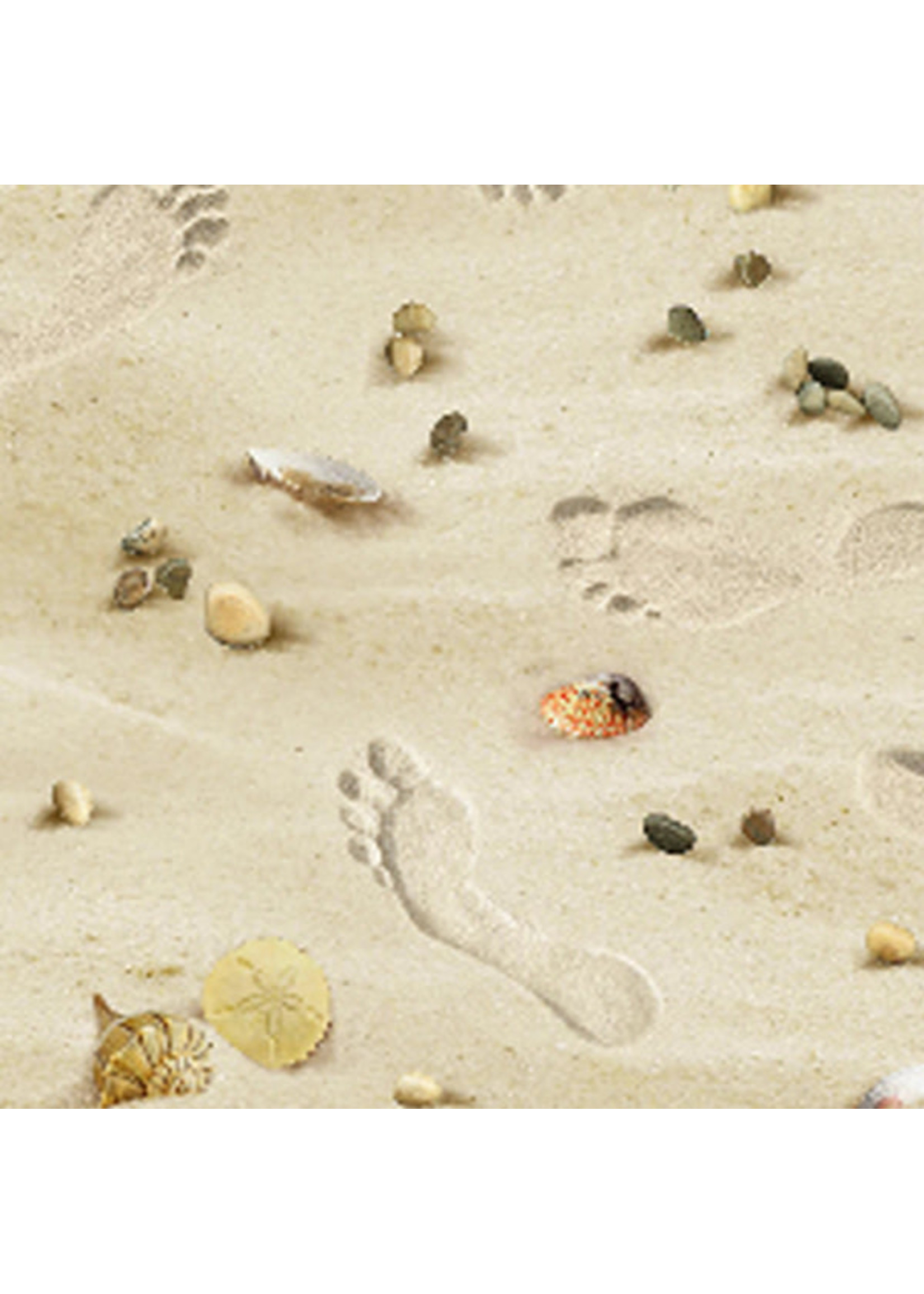 Elizabeth's Studio Landscape Medley - Footsteps on the Beach - Sand