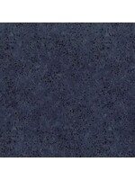 Moda Fabrics Kansas Troubles - Got your Back - Navy - 6724