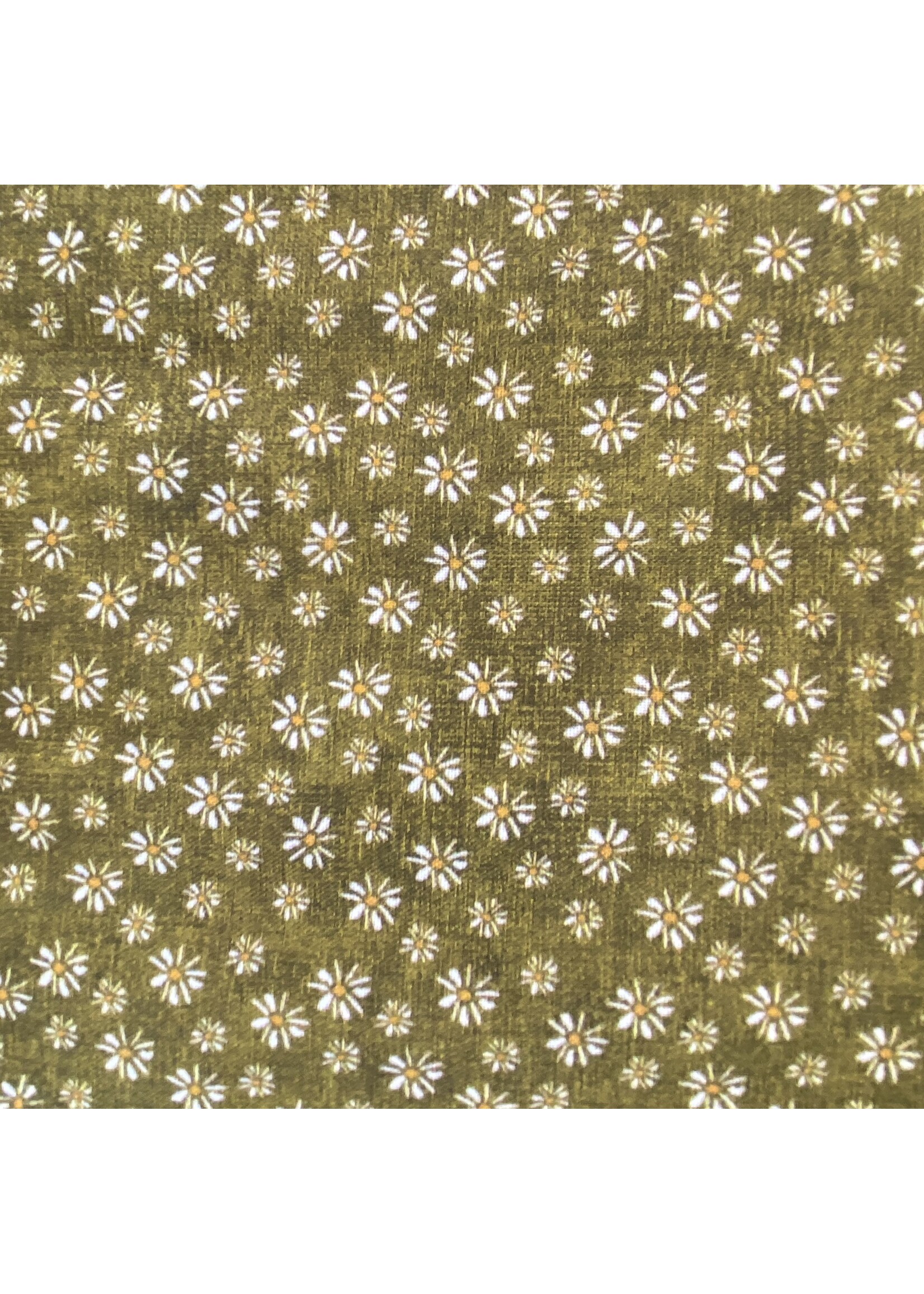 Stof Fabrics Quilting Rainbow - Daisy - Green - 957