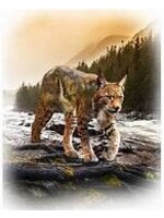 Hoffman Fabrics Panel 86 - Call of the Wild - Bobcat - 73 cm  x 55 cm