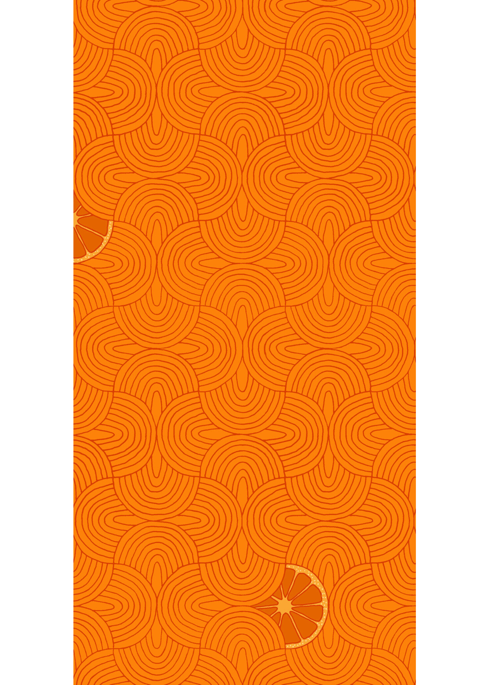 Windham Fabrics Summer Lovin - Slices - Orange - 7684