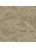 Northcott On Freedom's Wing - Stone - Brown