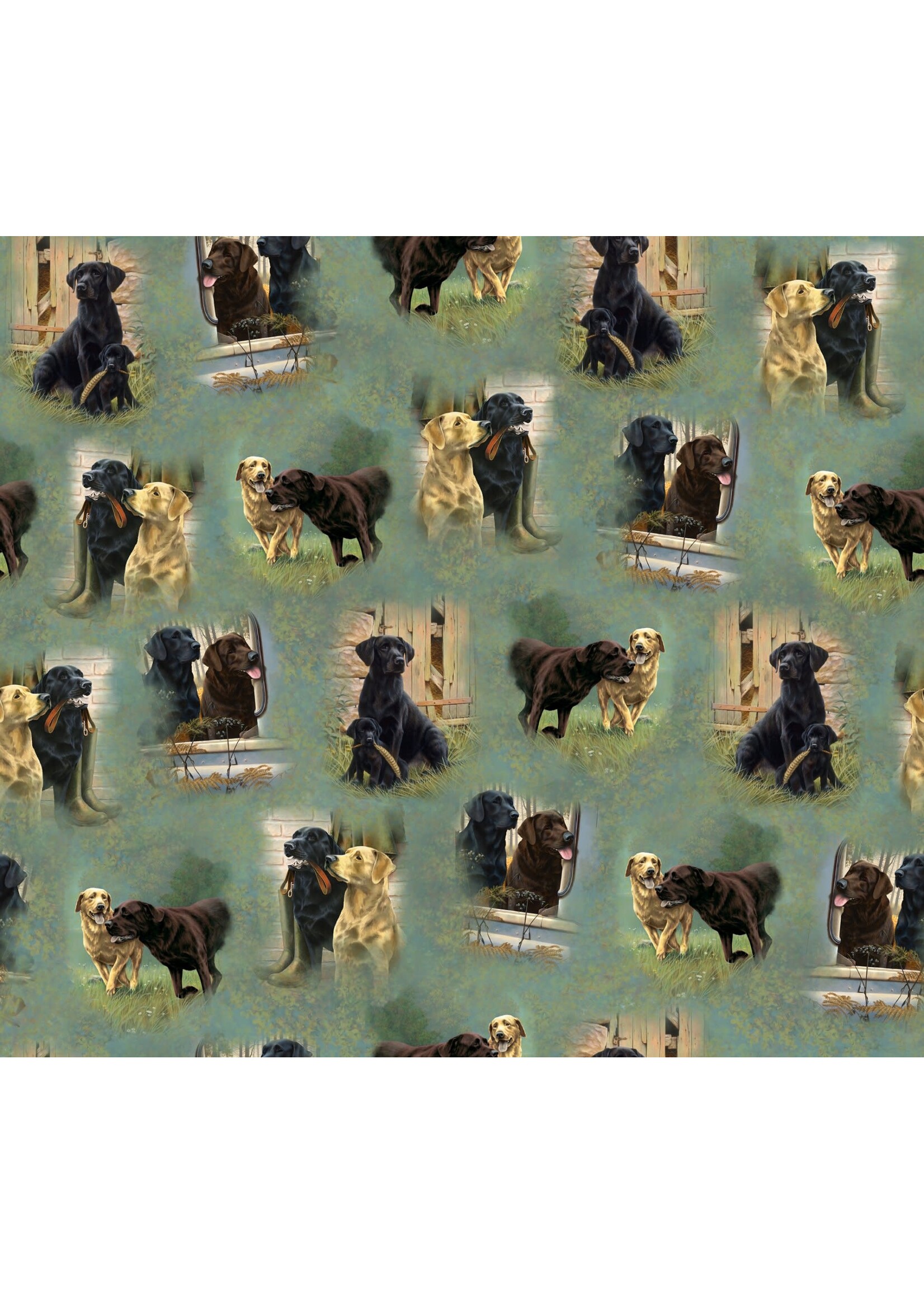 QT Fabrics For The Love Of Labs - Sage Vignettes - 30308-H
