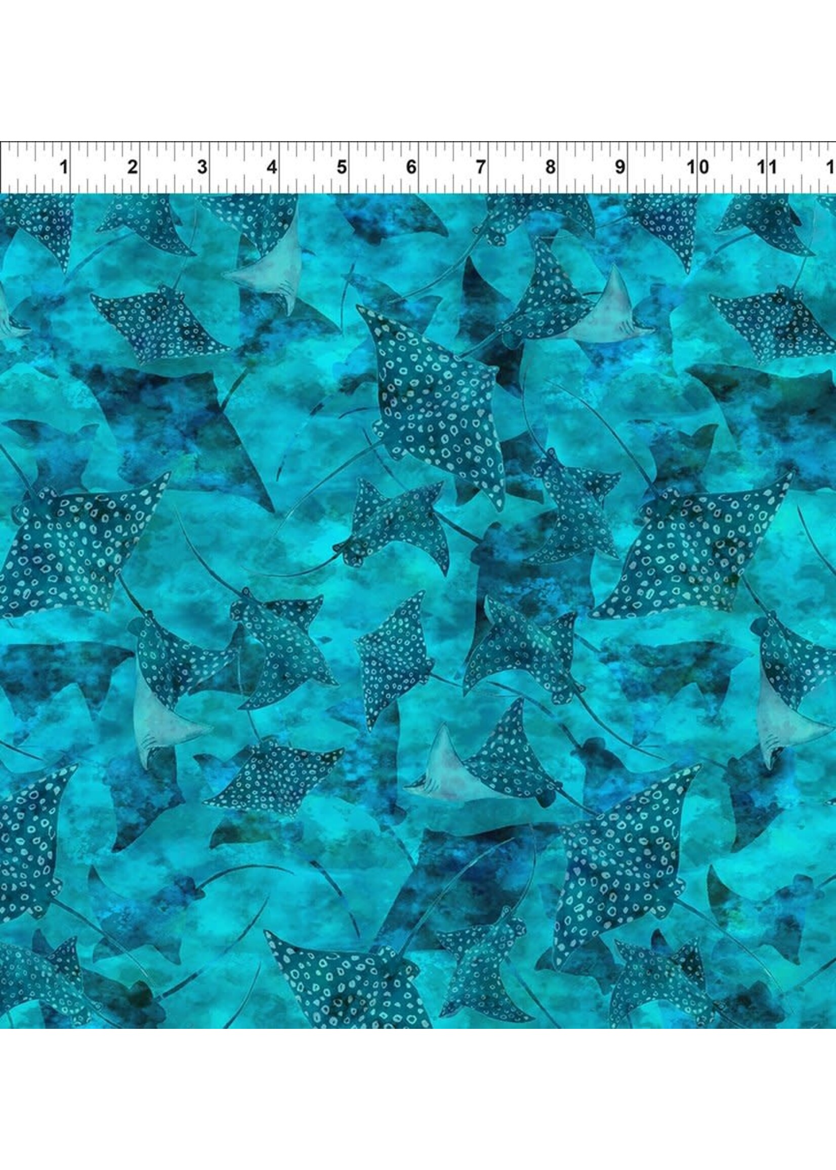 In The Beginning Calypso III - Stingrays - Teal - 36CAL2