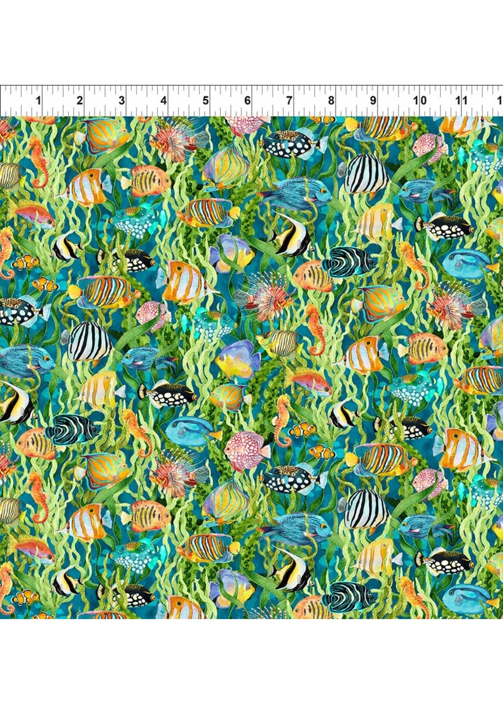 In The Beginning Calypso III - Fish - Teal - 34CAL2