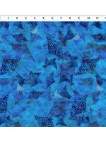 In The Beginning Calypso III - Stingrays - Blue - 36CAL1