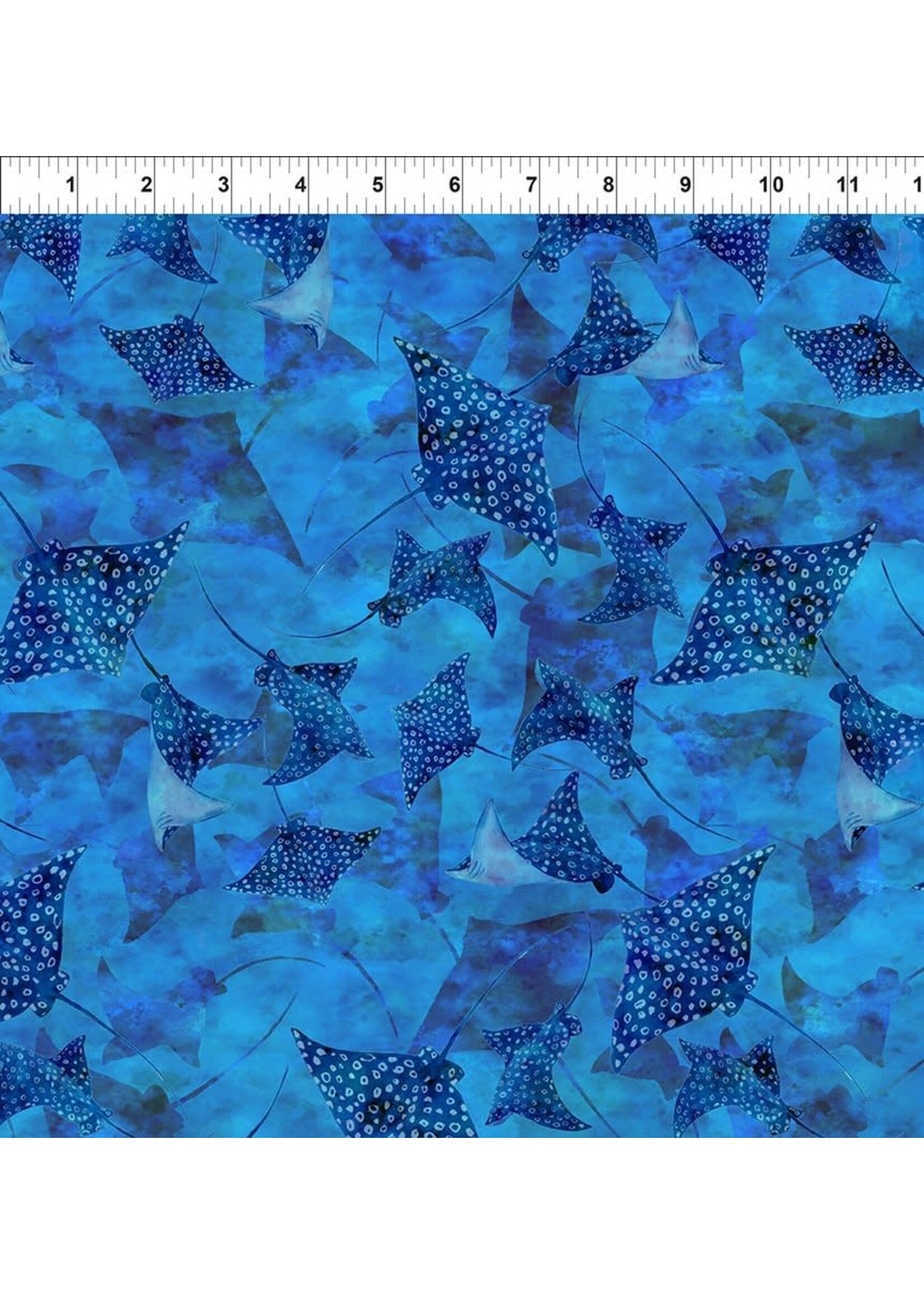 In The Beginning Calypso III - Stingrays - Blue - 36CAL1