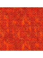 In The Beginning The Sunshine Collection - Bloom - Orange - 4SS1