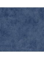 Riley Blake Designs Shades - Nighttime - WB200
