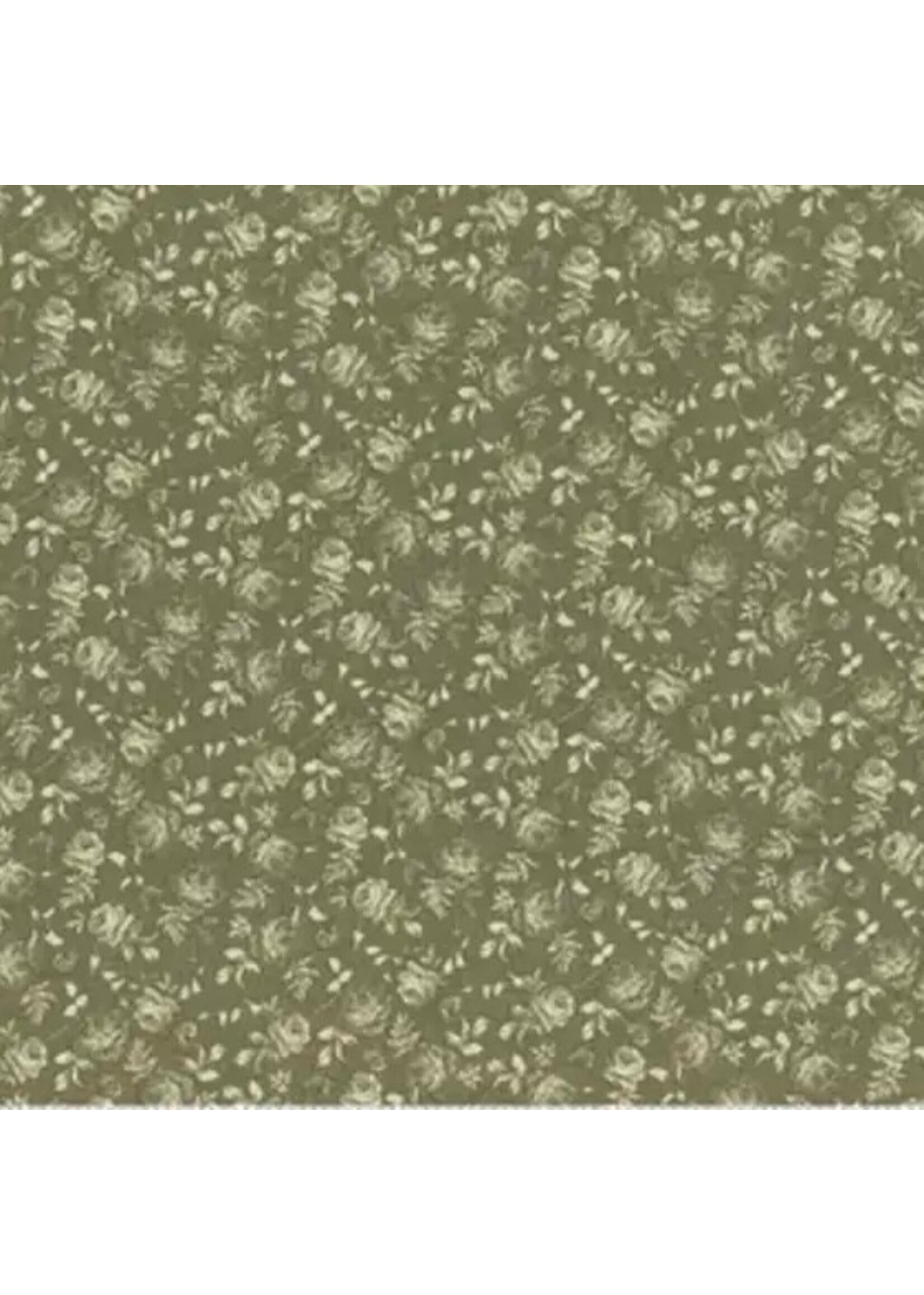 Riley Blake Designs Anne of the Green Gables - Tone on Tone - Green - C16125G