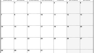 Vrijdag 25 juli Vrijdag 25 juli