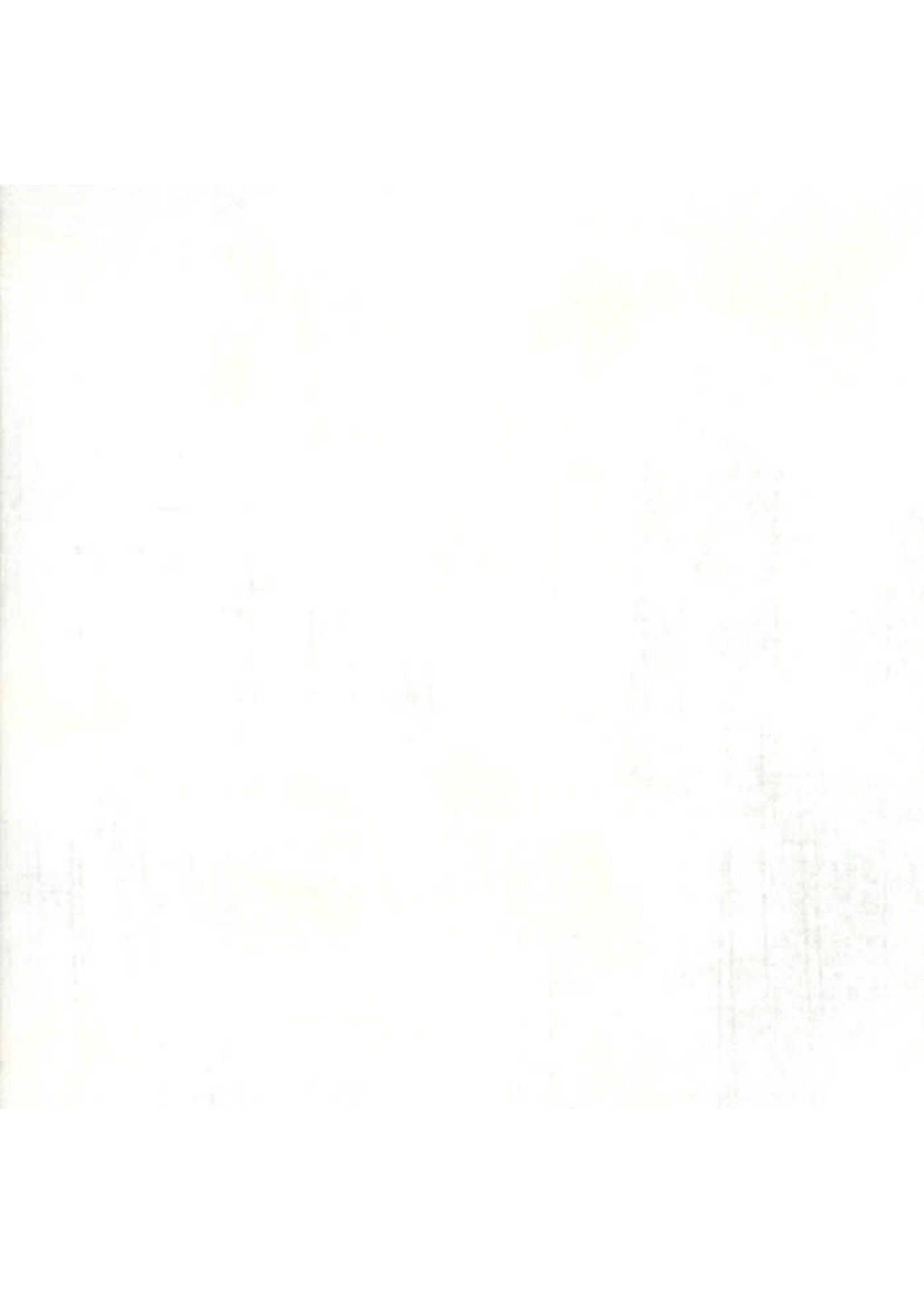 Moda Fabrics BasicGray - Grunge - White Paper