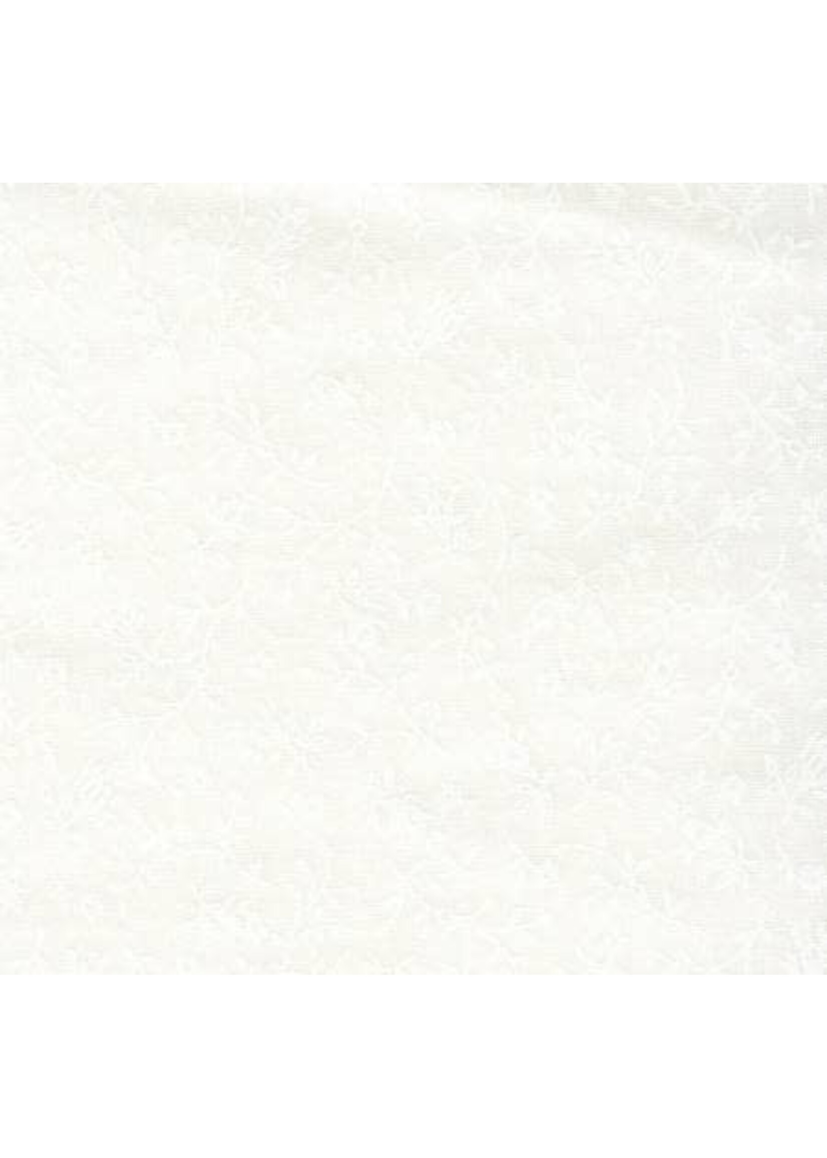 Basic Palette Tone on Tone - Wide - White - 21677WW108