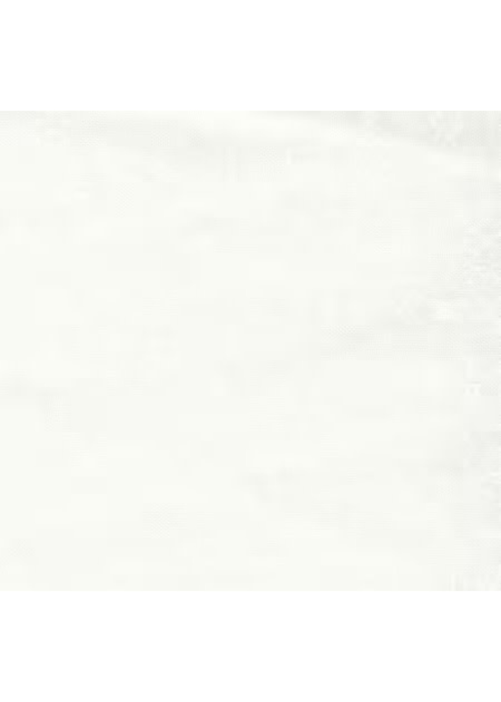 Basic Palette Tone on Tone - Wide - White - 22015WW108