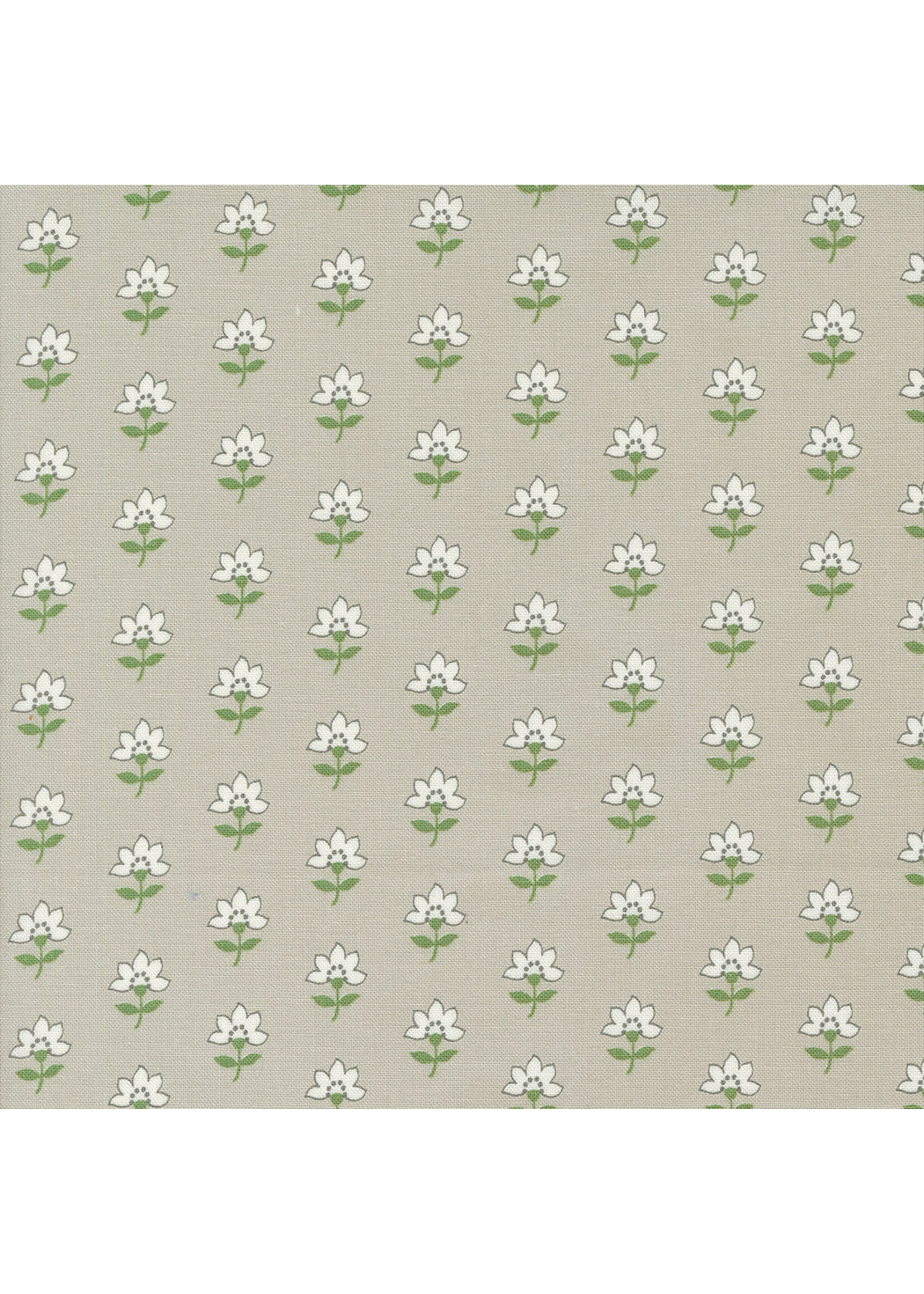 Moda Fabrics Camille Roskelly - Shoreline - Grey - 5530116