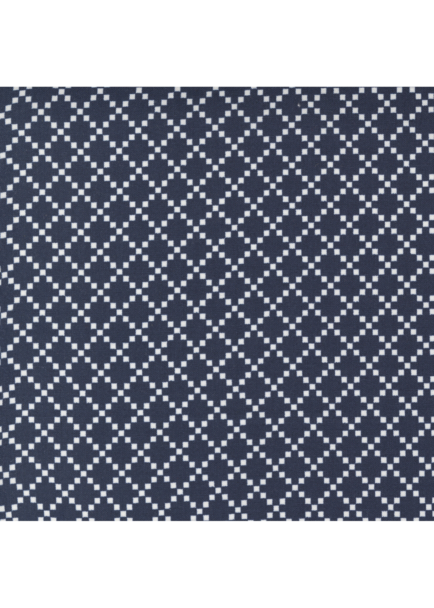 Moda Fabrics Camille Roskelly - Dwell - Navy - 5527212