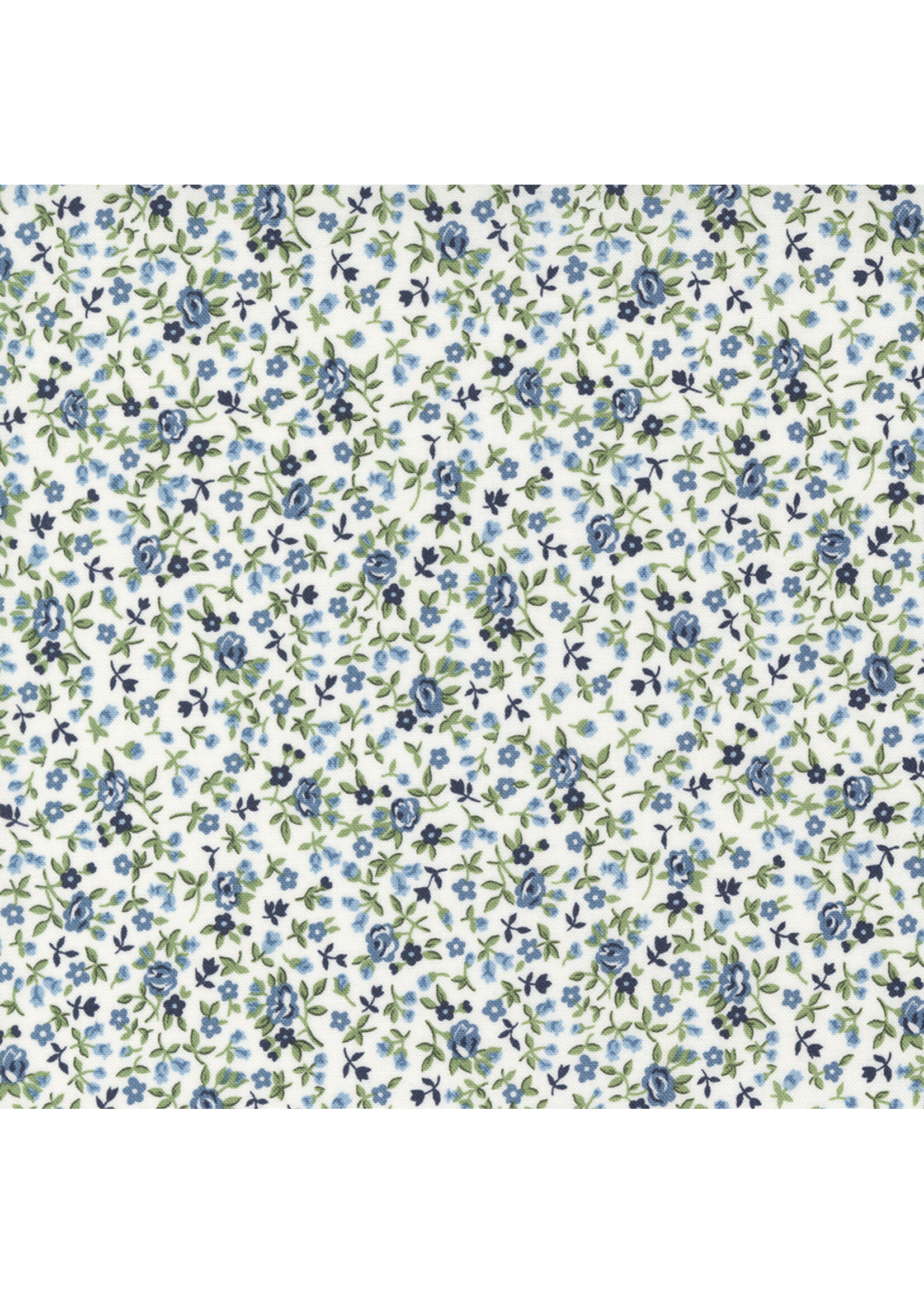 Moda Fabrics Camille Roskelly - Dwell - Cream - 5527711