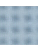 Riley Blake Designs Anne of the Green Gables - Gingham - Blue - C16127B