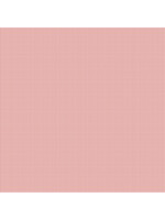 Riley Blake Designs Anne of the Green Gables - Gingham - Pink - C16127P
