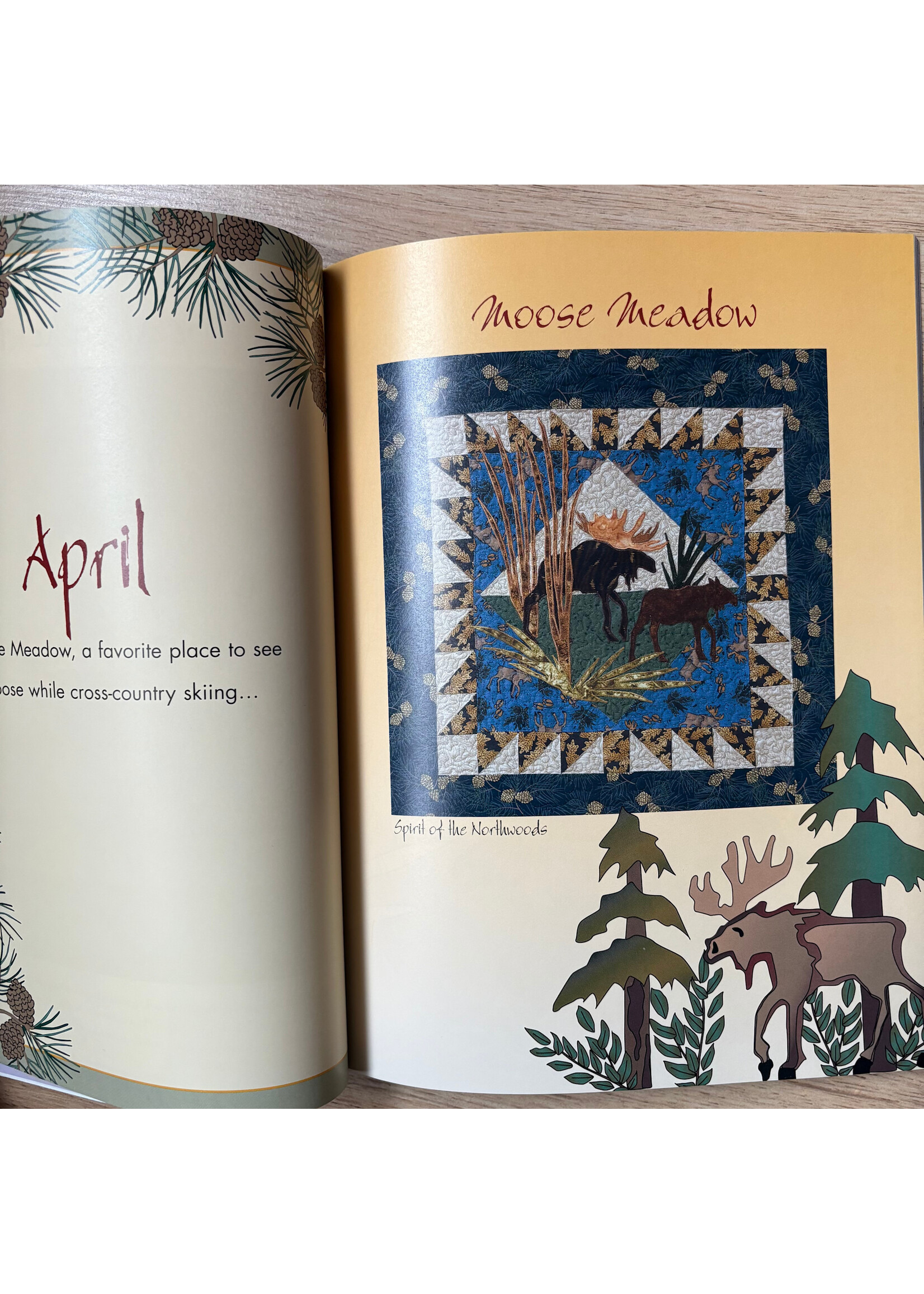 Boek - Spirit of the Northwoods - Debbie Field