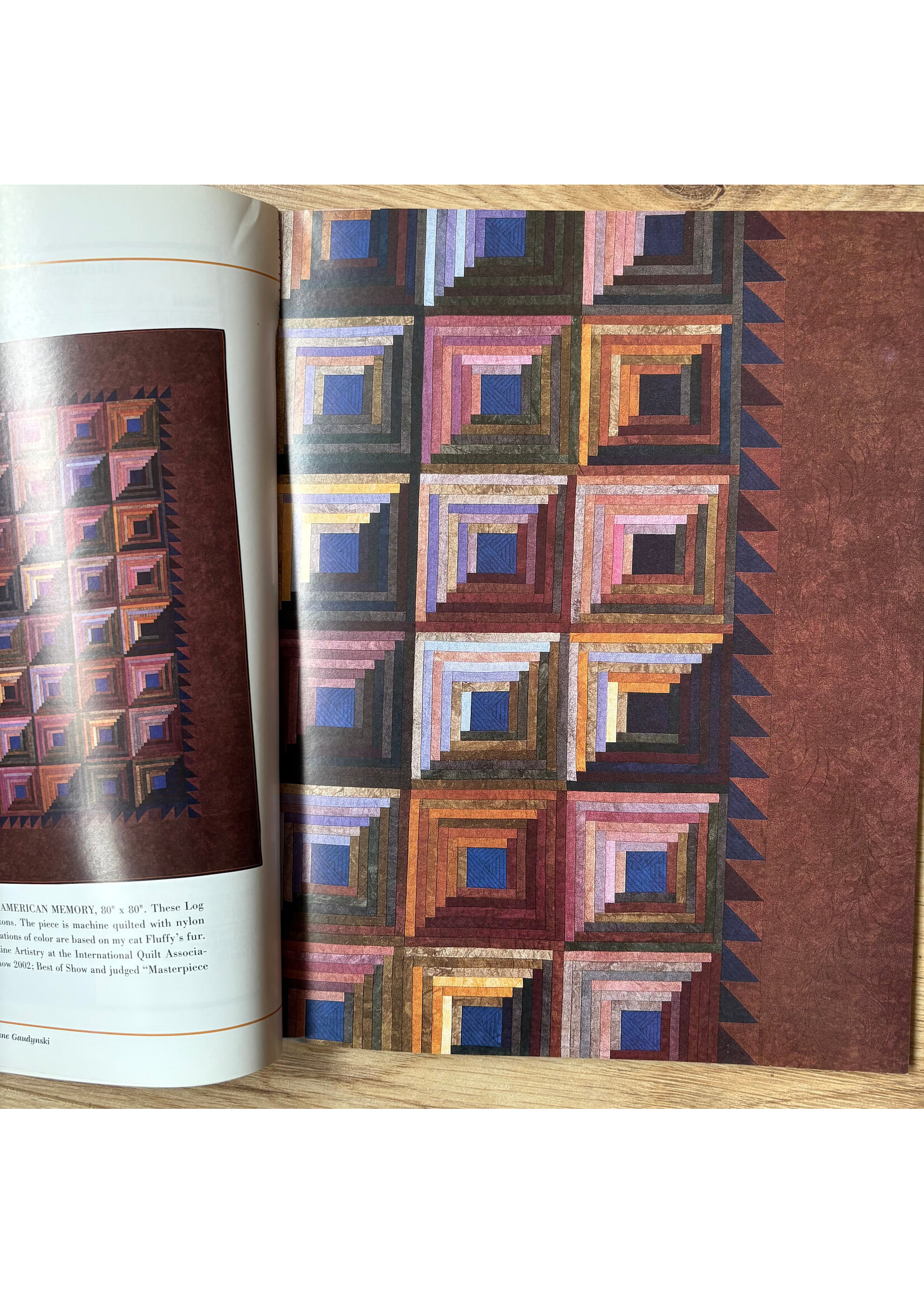 Boek - Guide To Machine Quilting - Diane Gaudynski