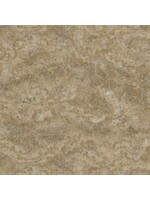 Northcott On Freedom's Wing - Stone - Brown - Coupon - 70 cm x 110 cm
