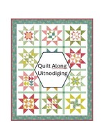 Cursus -  Quilt Along - start  donderdag 26 februari - halve dag