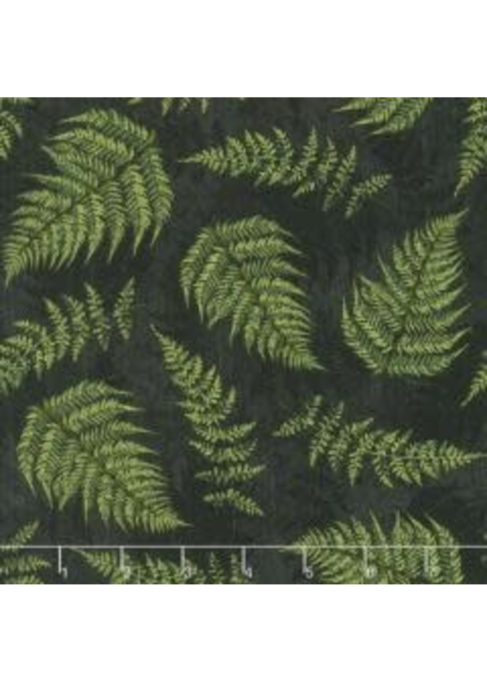 Wilmington Prints Chantrell - Fern Leaves - Black - Coupon - 100 cm x 110 cm