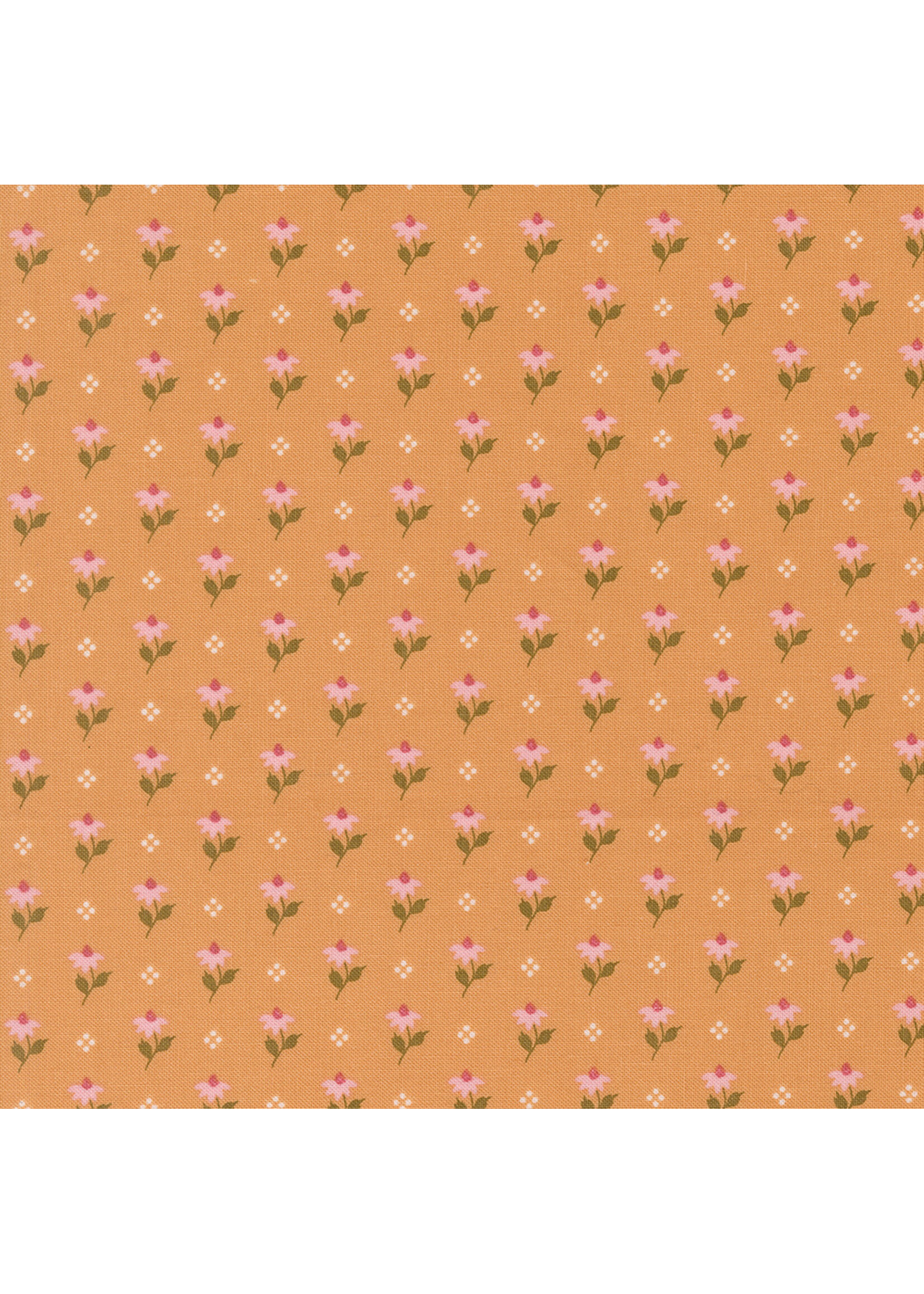 Moda Fabrics Lella Boutique - Wild Honey - Honey - 5252 16