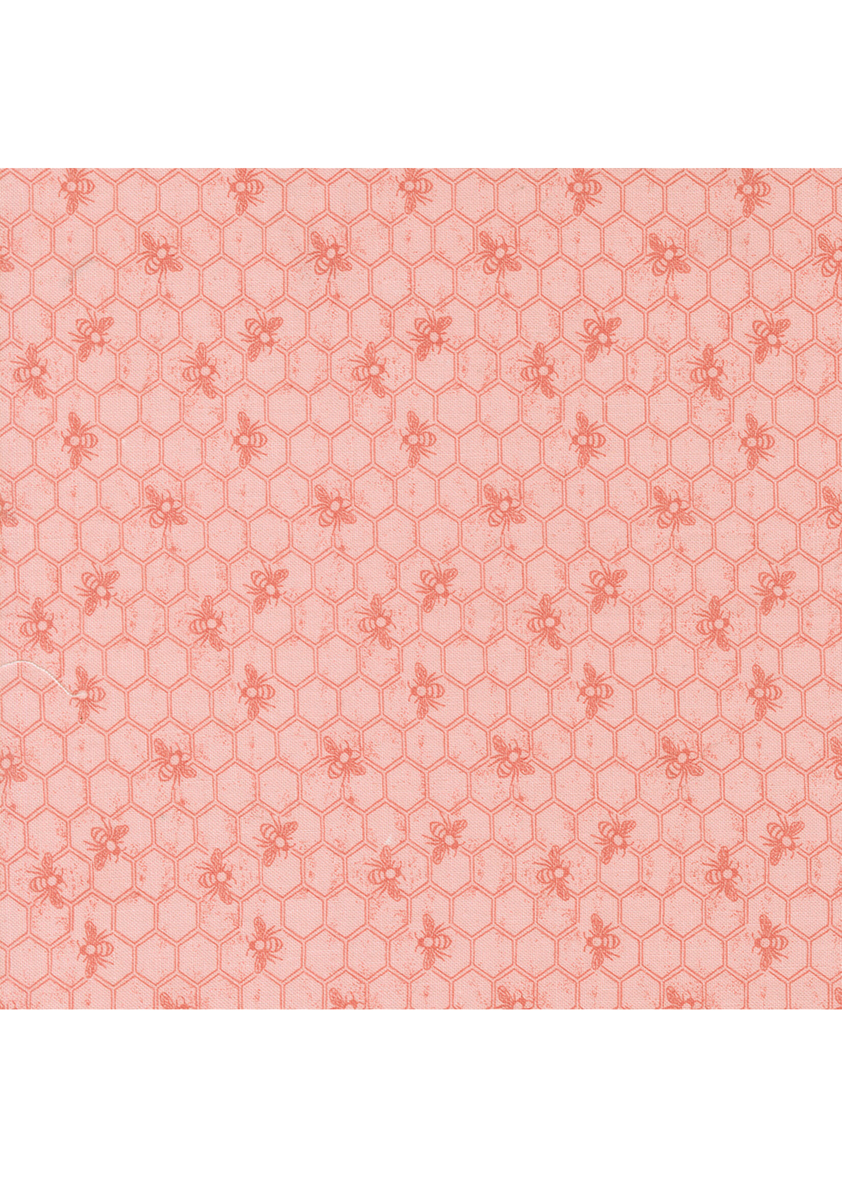 Moda Fabrics Lella Boutique - Wild Honey - Carnation - 5253 12