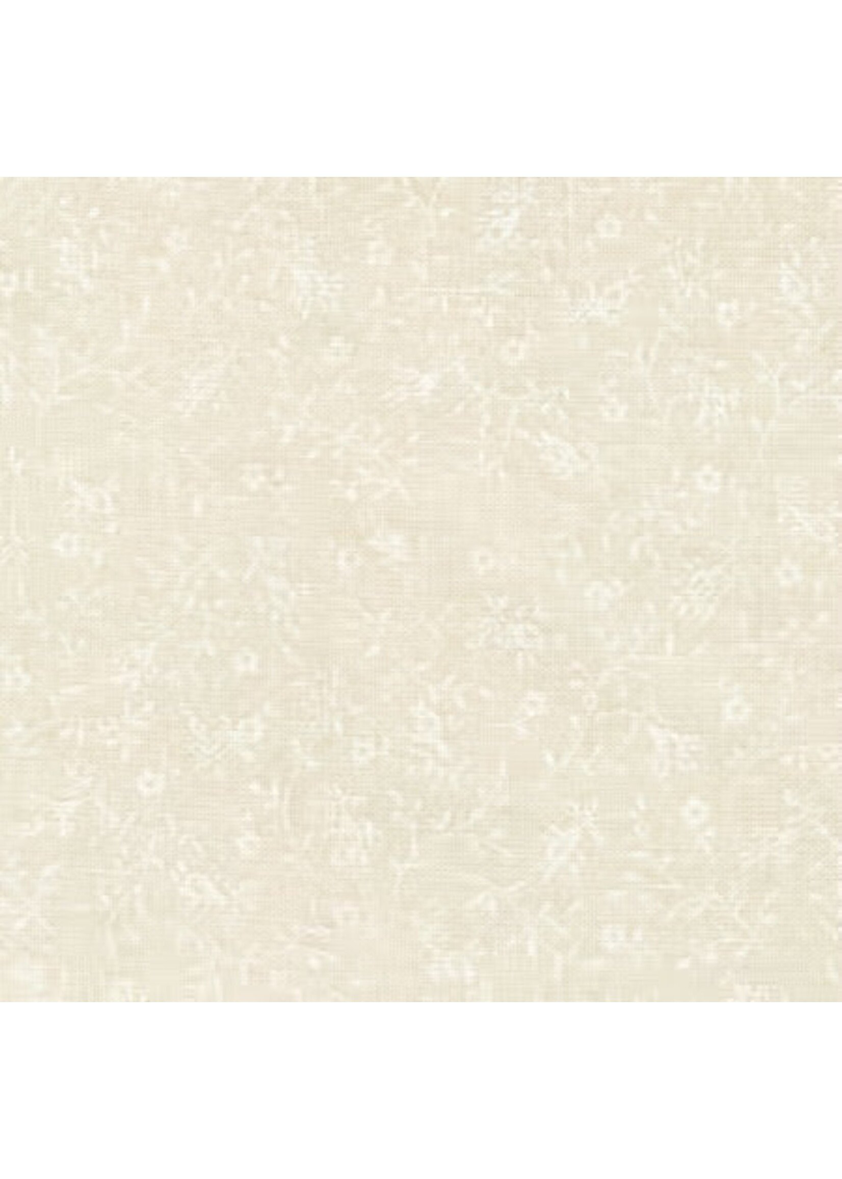 Basic Palette Tone on Tone - Ivory