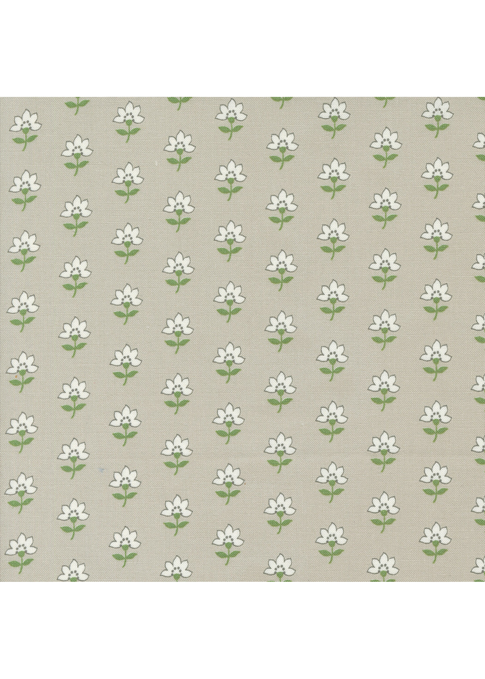 Moda Fabrics Camille Roskelly - Shoreline - Grey - 5530116