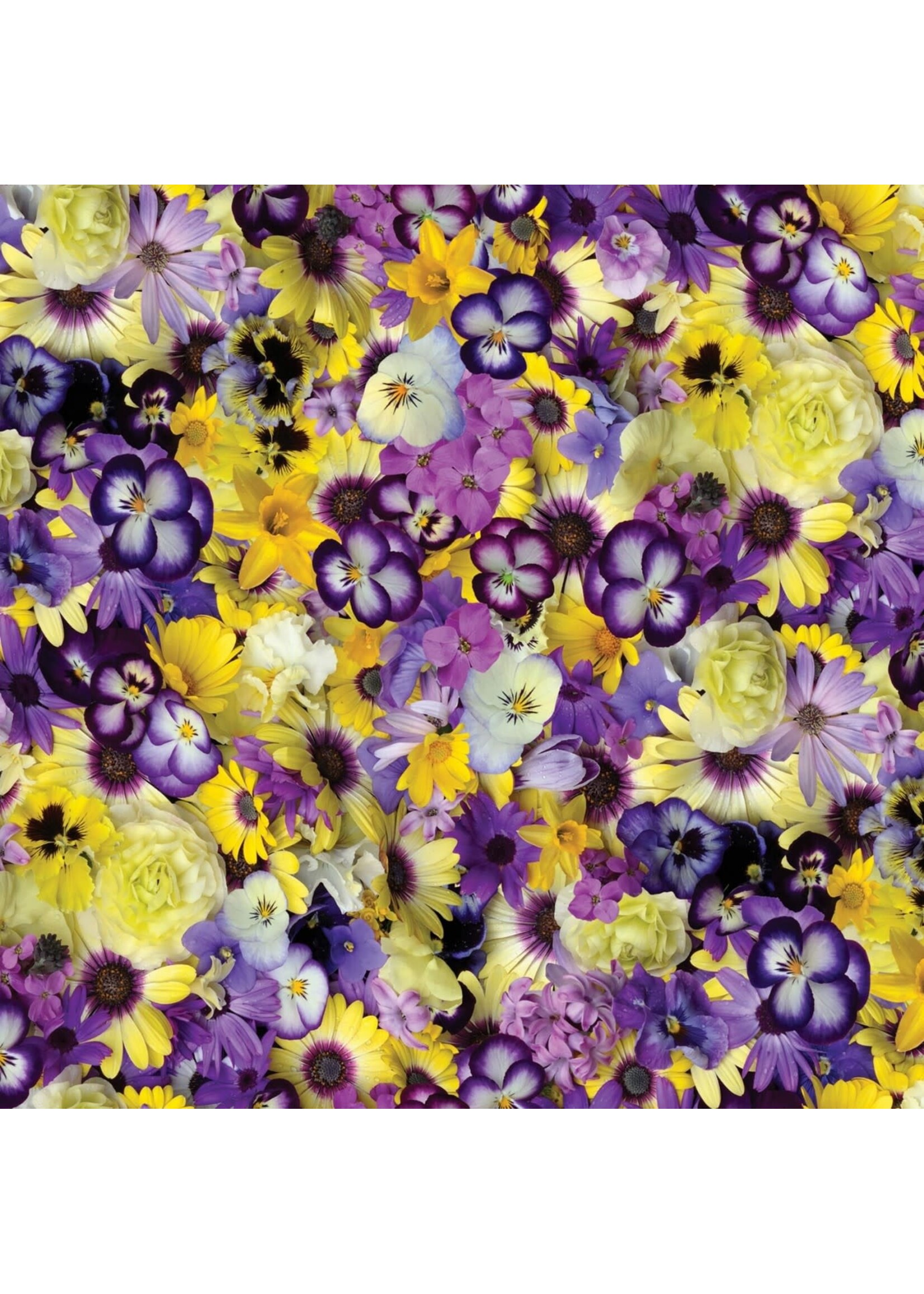 Maywood Studio Hand Picked First - Light