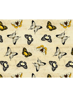 Wilmington Prints Chantrell - Butterfly - Cream