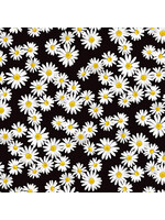 Kanvas Studio Daisy Dance - Black