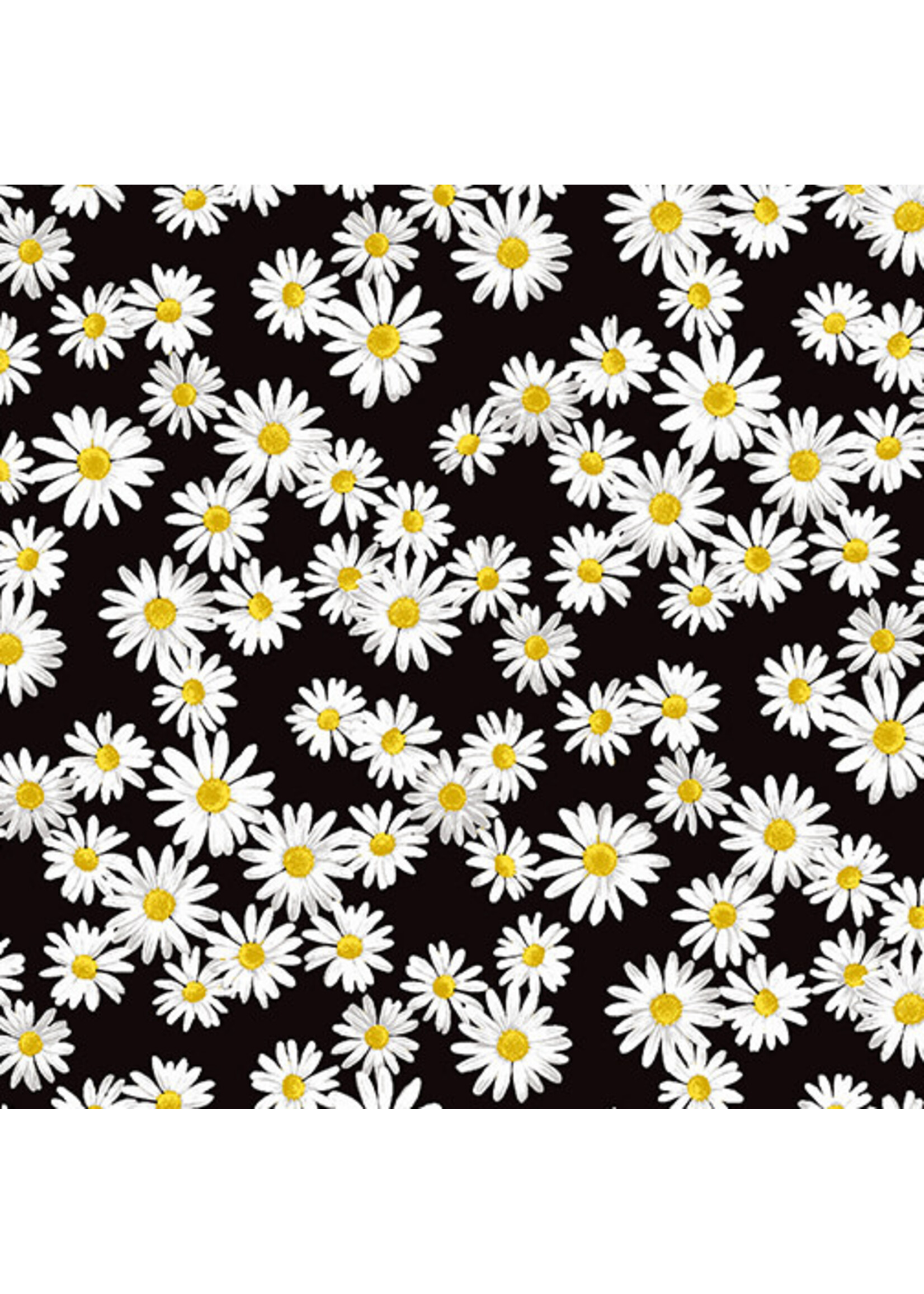 Kanvas Studio Daisy Dance - Black