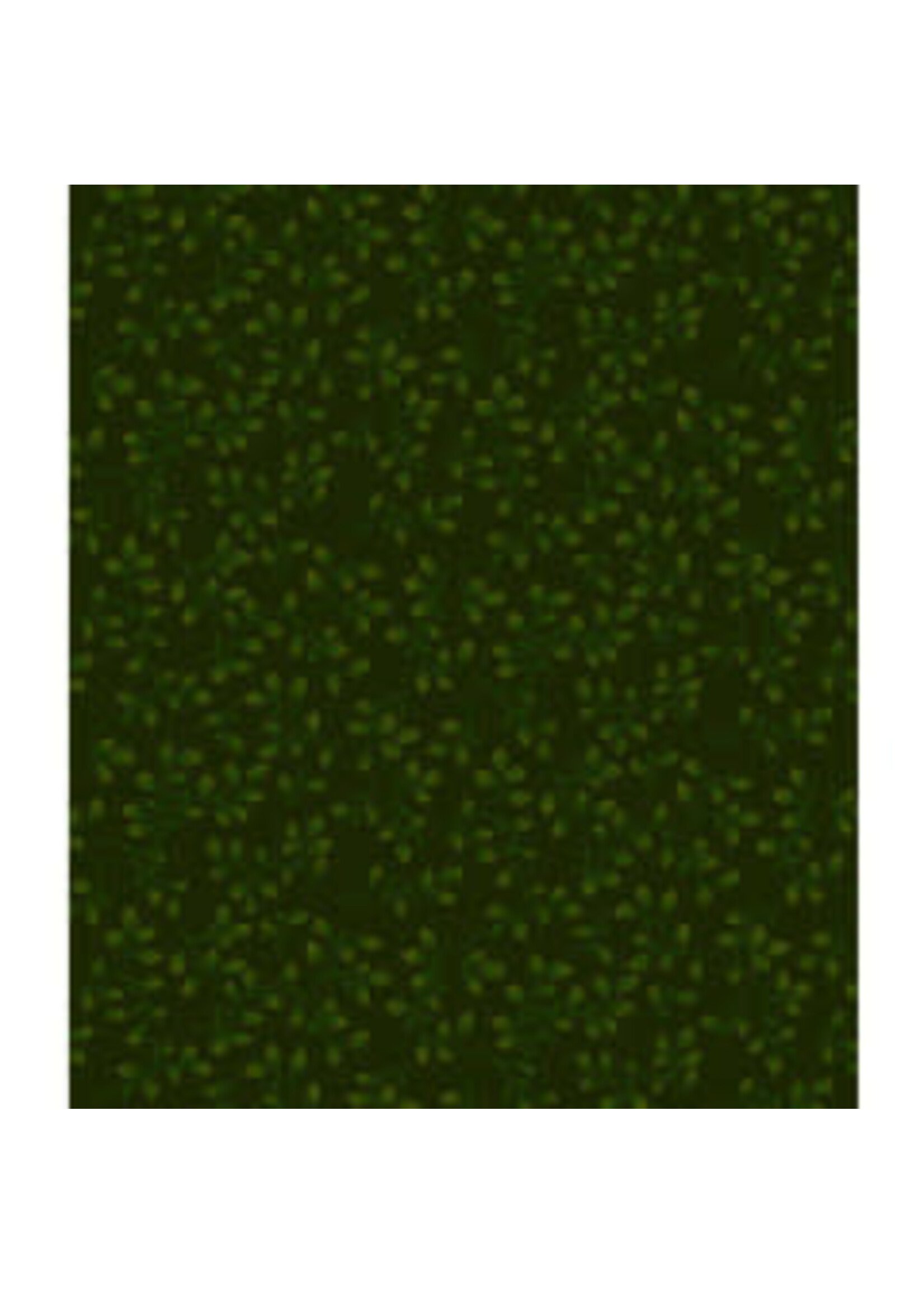 Stof Fabrics Folio Quilt Backs - Green - Coupon - 130 cm x 275 cm