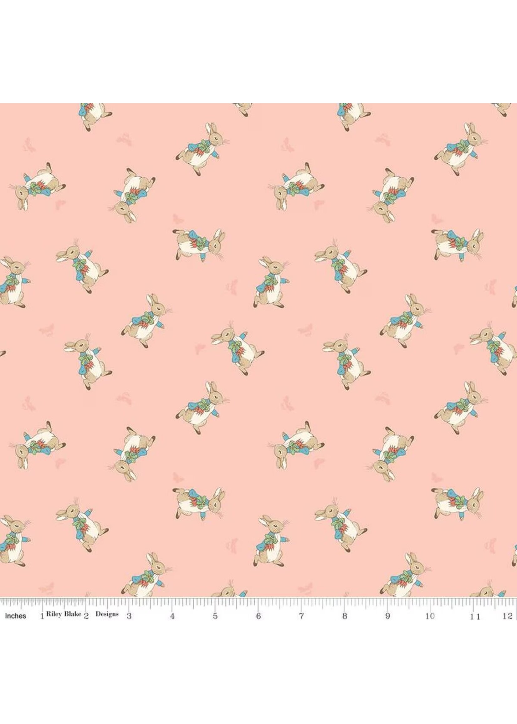 Riley Blake Designs The Tale of Peter Rabbit - Peter Toss - Coral - C14702