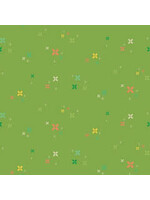 Riley Blake Designs Gingham Cottage Plus - Green -13017 - Coupon - 100 cm x 110 cm
